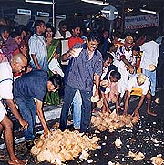 On the crest of Prayer - The Thaipusam Story