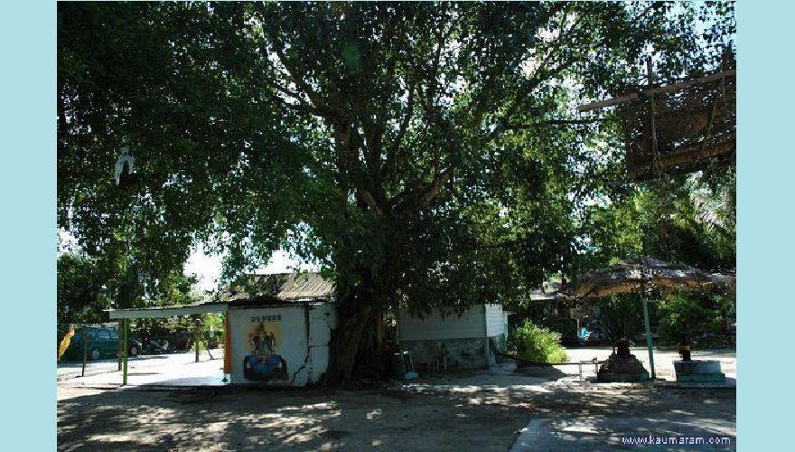 pokokasam temple picture_007