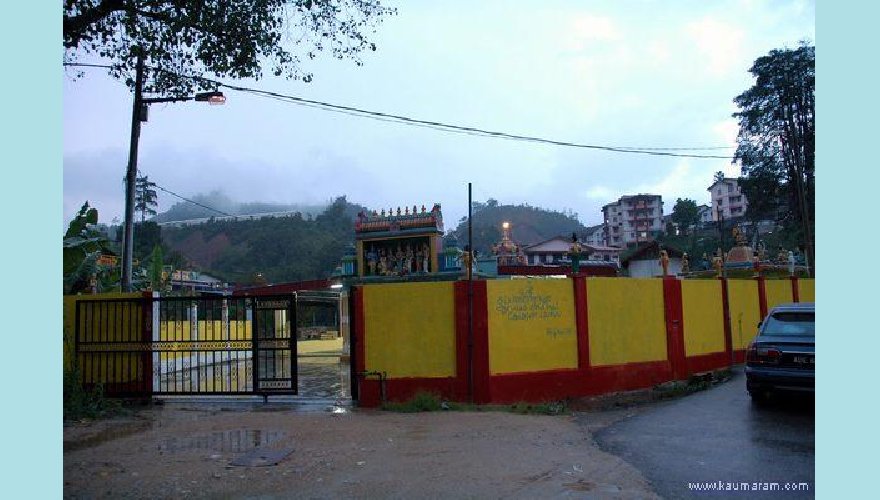 ringlet temple picture_003