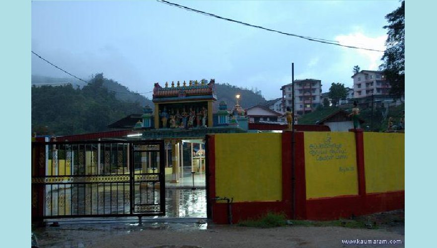 ringlet temple picture_007