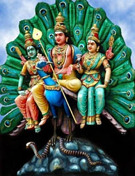 Valli-Murugan-Devayanai